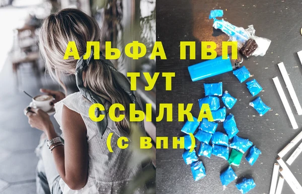 эйфоретик Михайловск