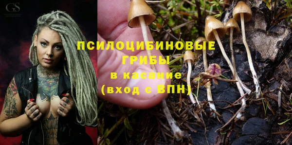 эйфоретик Михайловск