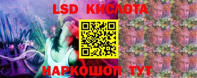 стафф Камышлов