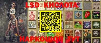 стафф Камышлов