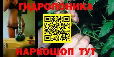 apvp Кандалакша