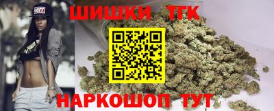 стафф Камышлов