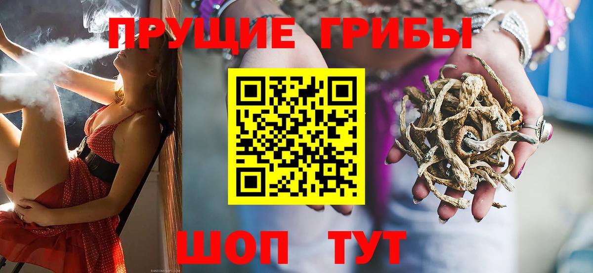 Галлюциногенные грибы Cubensis  Вход с VPN  Усть-Илимск 