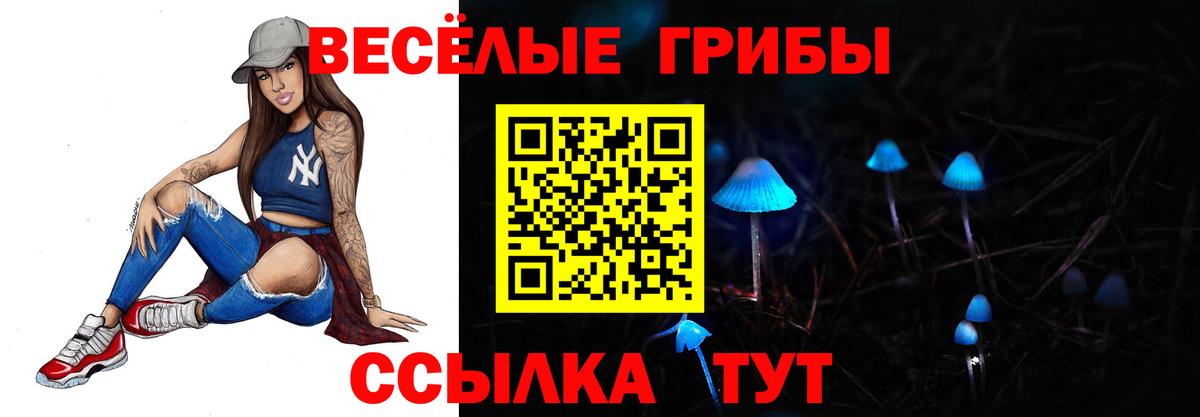 Псилоцибиновые грибы Cubensis Усть-Илимск